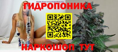 твердый Пенза